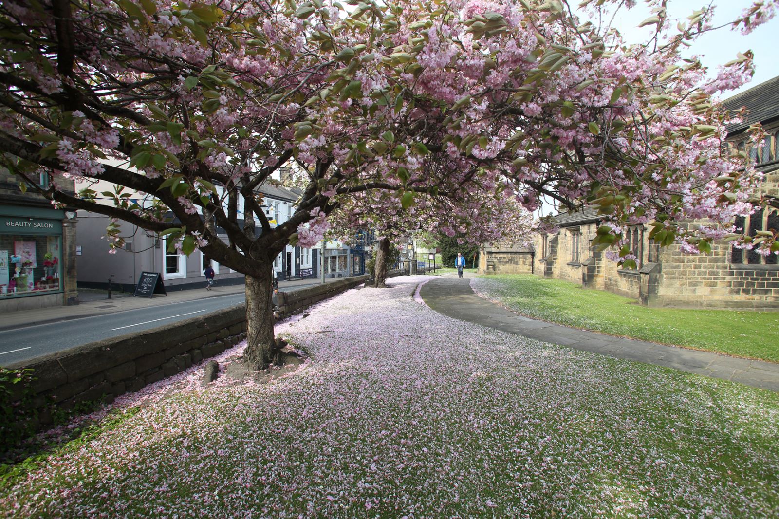 Blossom in Ilkley